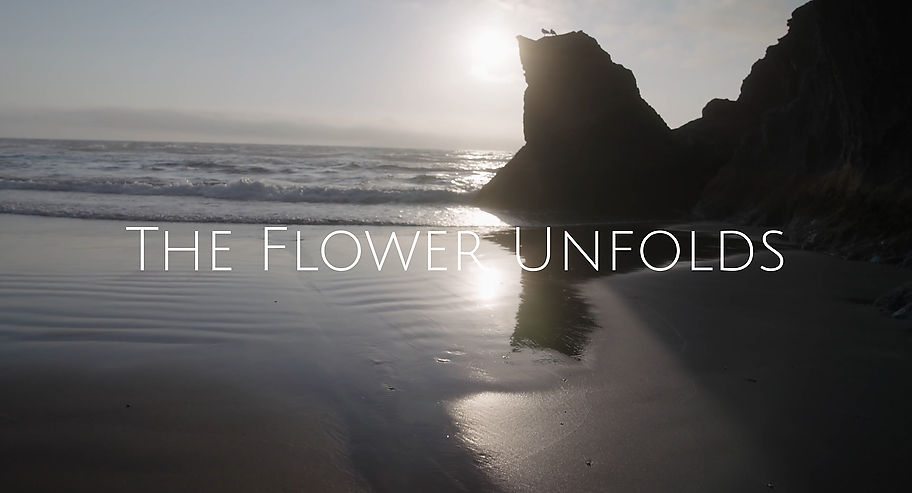 The Flower Unfolds (Starring Terrence Howard) - Opener